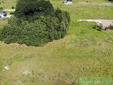 Działka z lasem 5874 m2 w Kliniskach Wielkich działka Kliniska Wielkie
