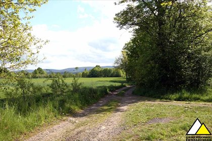 Działka 4700 m² z widokami na Góry Izerskie - polecam działka Wolimierz, Widokowa
