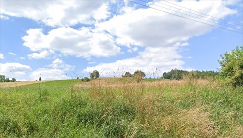 działka na sprzedaż 14300m2 działka Młodziejowice