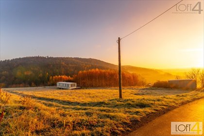 działka na sprzedaż 2600m2 działka Zagorzyn