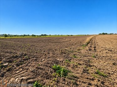 Sprzedam działkę 31,8 ara z pozwoleniem na budowę w Skała działka Skała