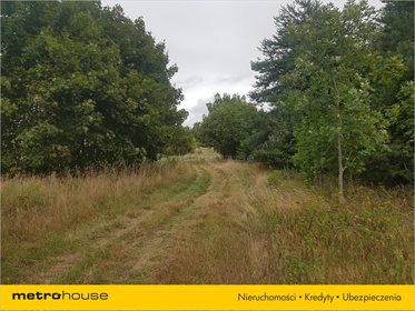 Działka rolna na sprzedaż Cewlino, Manowo 7 100m2 Foto 5