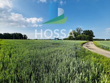 Działka 7000m² z potencjałem rolnym i budowlanym - polecam! działka Gotardy