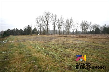 Działka 2377 m² z mediami, las i jeziora, Zabór działka Zabór