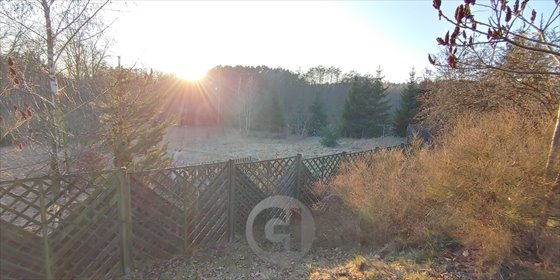 Na sprzedaż przestronny dom 185 m² na 1,2 ha z kominkiem i pięknym widokiem dom Sokola Dąbrowa
