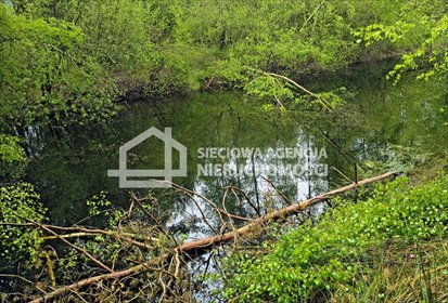 Działka rolna z stawem i domkiem w Kobylasz - polecam działka Kobylasz