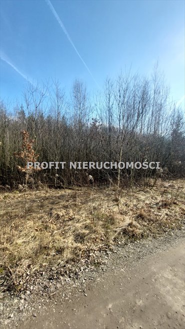 działka na sprzedaż 1465m2 działka Łódź, Górna, Kolumny