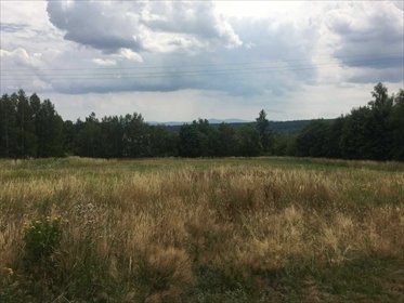 działka na sprzedaż 1054m2 działka Polanica-Zdrój