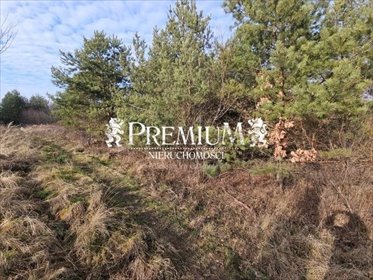 działka na sprzedaż 1099m2 działka Osolin, Osolin