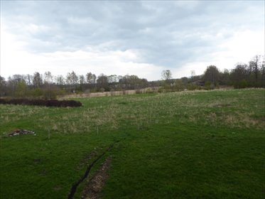 działka na sprzedaż 70000m2 działka Polanica-Zdrój