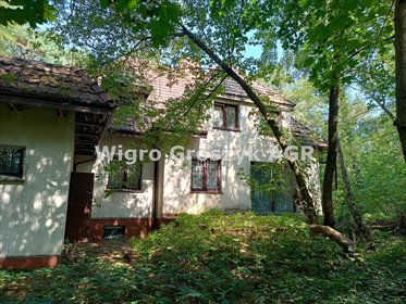 Dom w Dąbrowie Leśnej (Łomianki) 390 m² z dużą działką dom Łomianki, Dąbrowa Leśna
