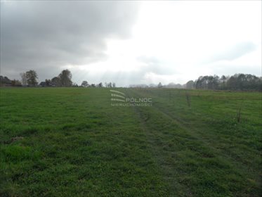 Działka rolna na sprzedaż Mikołów, Kąty, Kąty 3 260m2 Foto 5