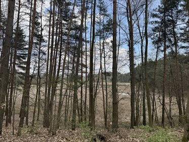 Działka budowlana na sprzedaż Uzarzewo-Huby 1 012m2 Foto 6