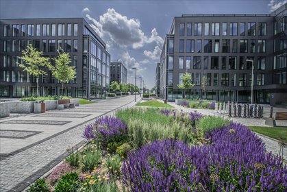 lokal użytkowy na wynajem 522m2 lokal użytkowy Warszawa, Włochy, Krakowiaków