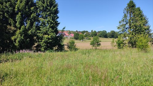 działka na sprzedaż 1478m2 działka Koleczkowo, Spokojna