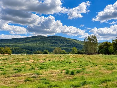 Działka z widokiem na Ślężę 1605 m² - zapraszam działka Biała