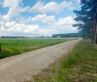Działka 1600 m² w Dziersławicach – cisza i szybki dojazd działka Dziersławice