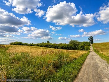 działka na sprzedaż 5209m2 działka Brzozówka Korzkiewska