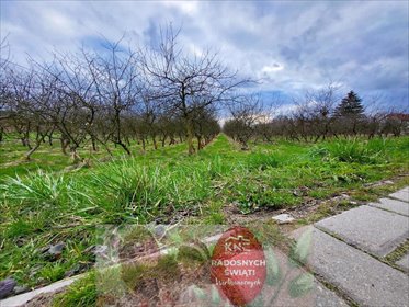 działka na sprzedaż 3000m2 działka Motycz