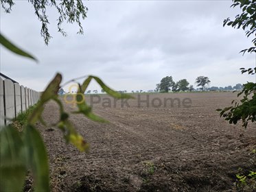 działka na sprzedaż 825m2 działka Kokorzyn