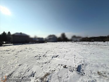 działka na sprzedaż 750m2 działka Brzozówka Korzkiewska