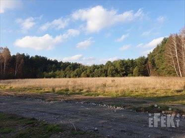 działka na sprzedaż 40300m2 działka Wycześniak