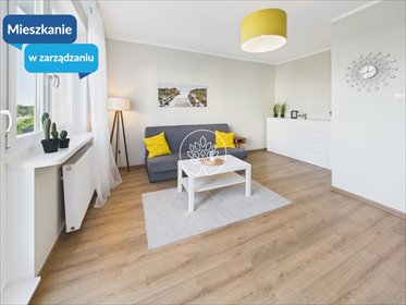 Polecam funkcjonalną kawalerkę 31 m² z osobną kuchnią w Bydgoszczy mieszkanie Bydgoszcz, Wzgórze Wolności, Brzozowa