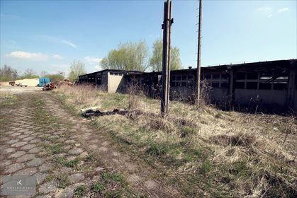 lokal użytkowy na wynajem 600m2 lokal użytkowy Pokój, Gmina Pokój