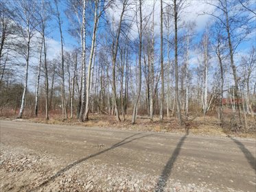 Działka 2000 m² z projektem domu w Czarnym Lesie działka Czarny Las