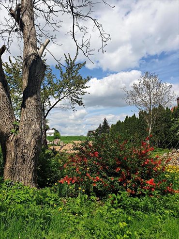 działka na sprzedaż 4000m2 działka Lublin, Szerokie
