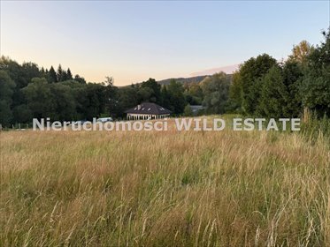 działka na sprzedaż 2839m2 działka Czarna