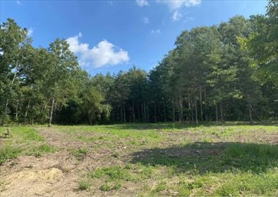 działka na sprzedaż 1000m2 działka Szczecin, Podjuchy