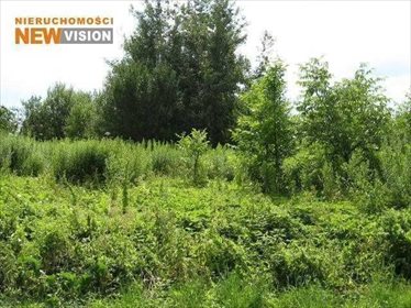 Działka budowlana na sprzedaż Dąbrowa Górnicza, Ujejsce, Ujejsce 2 161m2 Foto 3