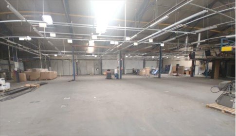 Na sprzedaż hale przemysłowe 6164 m² z biurami i placem lokal użytkowy Poznań, Smochowice