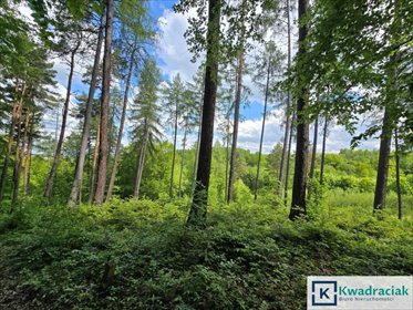 działka na sprzedaż 25348m2 działka Końskie