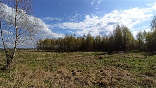 działka na sprzedaż 96900m2 działka Mazewo Dworskie"A"