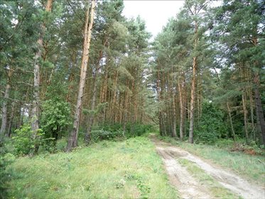 działka na sprzedaż 13971m2 działka Dopiewo, Dopiewo