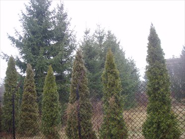 działka na sprzedaż 870m2 działka Tłuszcz