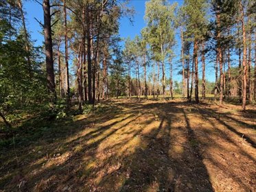 Działka 2295 m² w Siestrzeni, blisko S8 - polecam! działka Siestrzeń