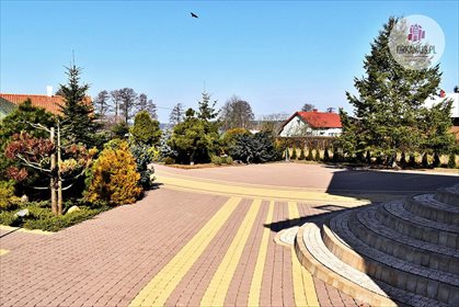 Dom na sprzedaż Pluski, ul. Jeziorna 263m2 Foto 5