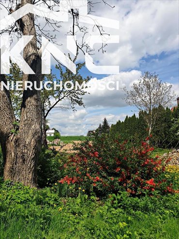 działka na sprzedaż 4000m2 działka Lublin, Szerokie