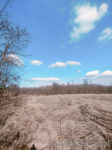 działka na sprzedaż 17000m2 działka Suchostruga