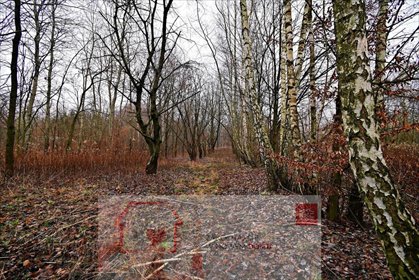 działka na sprzedaż 9530m2 działka Kazimierz Dolny