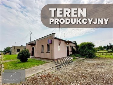 Zapraszam do zakupu terenu 1 ha z budynkami w Namysłowie lokal użytkowy Namysłów, Strzelce