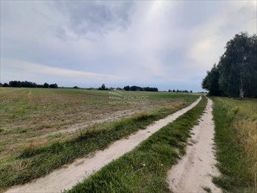 Działka rolna na sprzedaż Żurawieniec 22 500m2 Foto 7