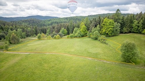 działka na sprzedaż 7155m2 działka Krzeszów