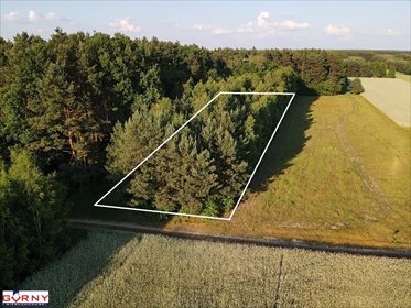Działka rolna 4000 m² z lasem i polem – inwestycja lub zamiana działka Bąkowa Góra