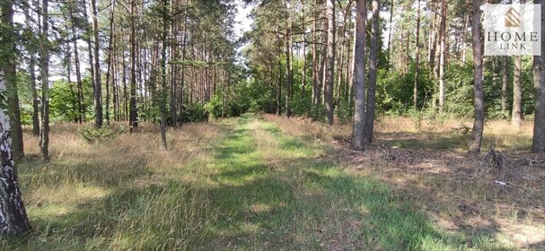 Działka leśna na sprzedaż Nowy Dwór 171 900m2 Foto 5