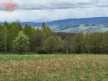 działka na sprzedaż 4800m2 działka Jaworek