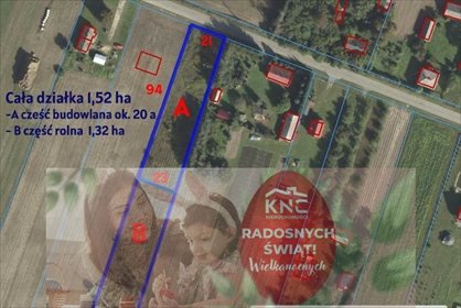 działka na sprzedaż 15200m2 działka Dąbrowa